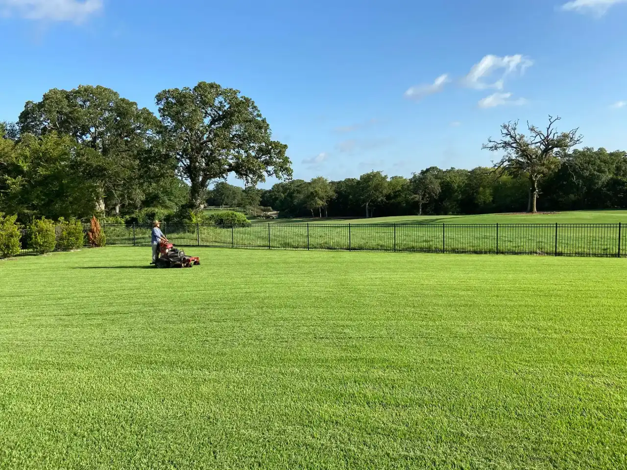 Crew member on stand-on mower cutting a large green lawn beside black fence