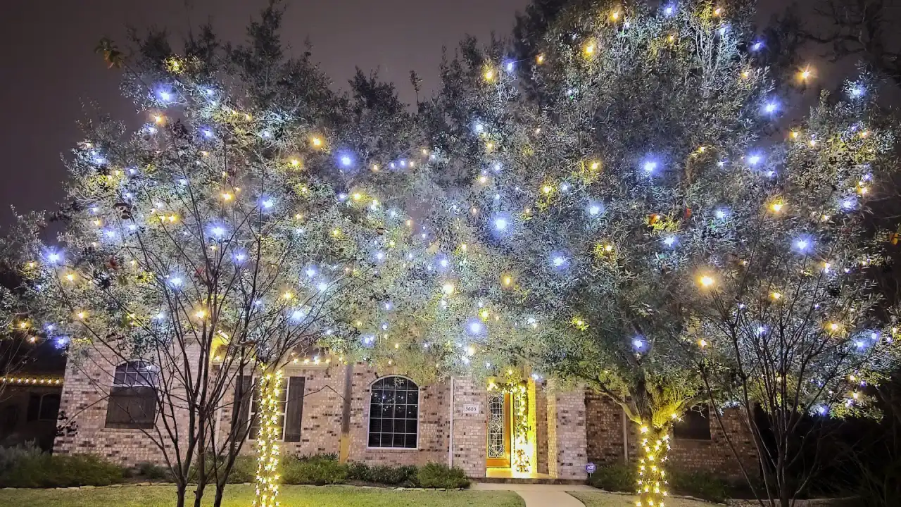 Outdoor Lighting in Bryan and College Station Landscapes: How Strategic Lighting Extends Your Yard Past 8pm