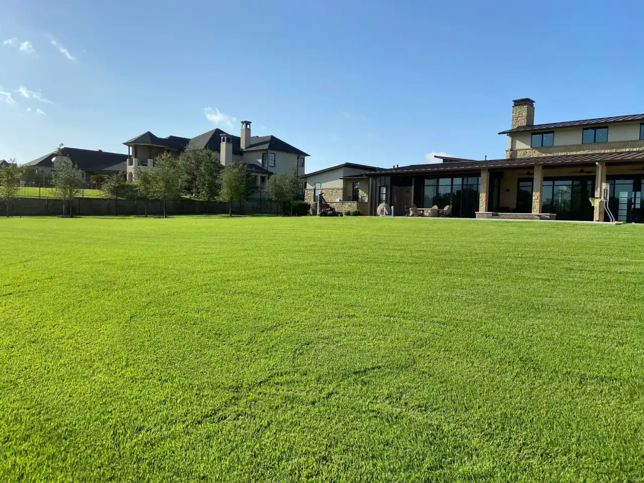 Beautiful established lawn in Bryan College Station Texas