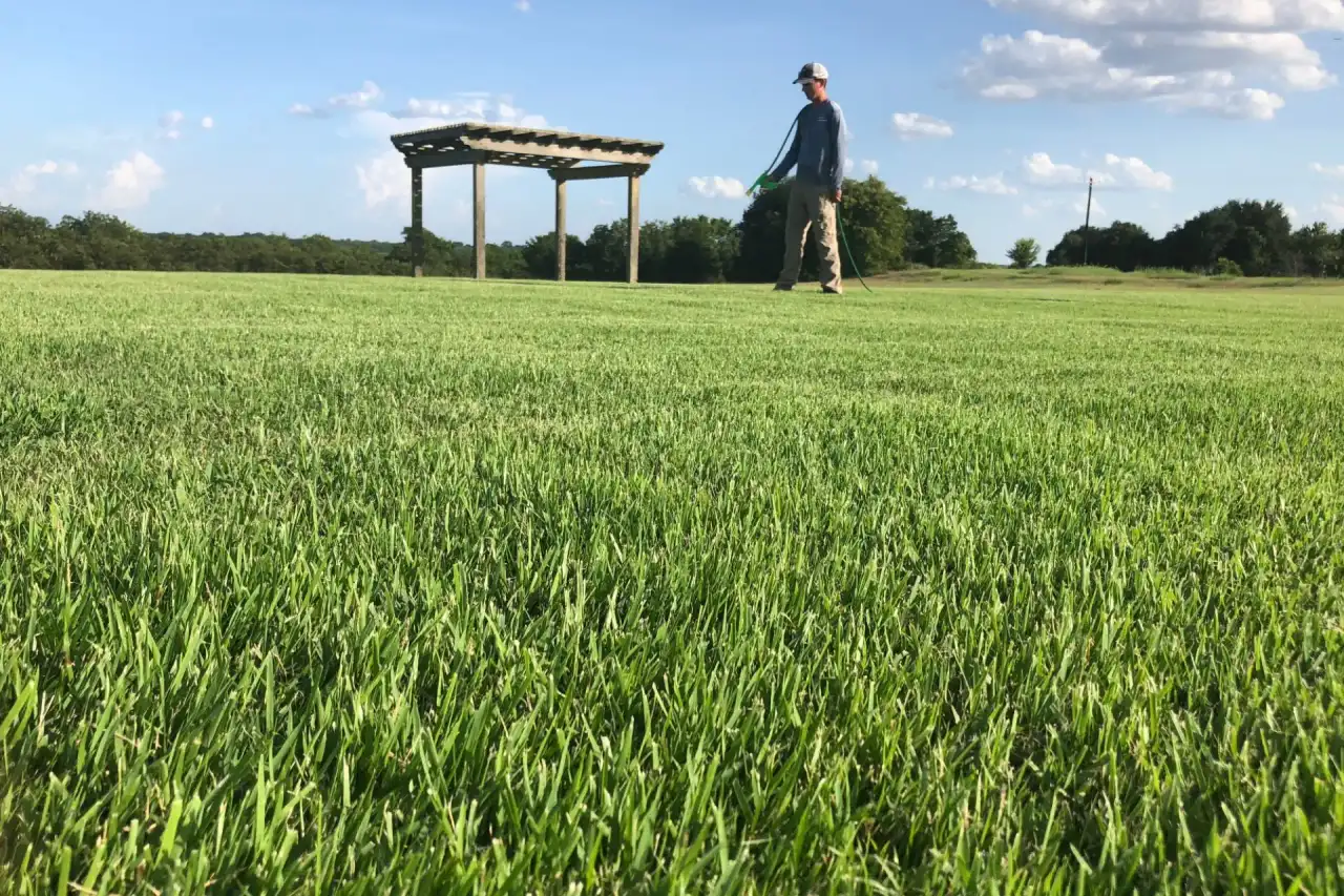 Healthy Bermuda grass lawn in Bryan, TX showing strong spring green-up and professional fertilization and weed control treatment results