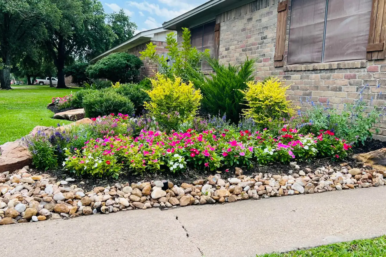 Established Bryan and College Station landscape with layered flower beds and shrubs showing the kind of plant material that Brazos Valley summer plant care supports