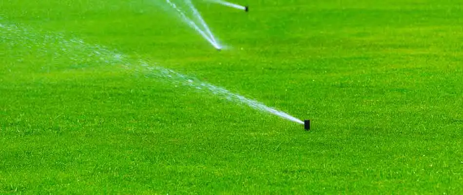Large back yard in the Brazos Valley area in the process of receiving irrigation.