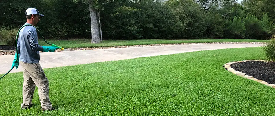 Why Spring Is the Most Critical Time for Lawn Care in the Brazos Valley Area