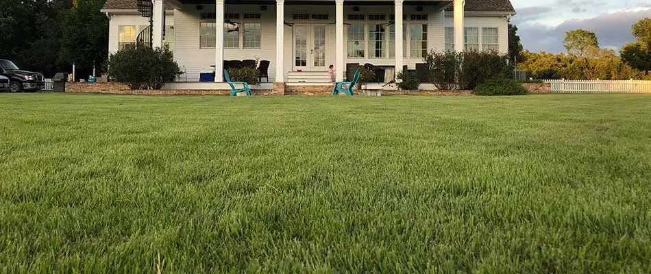 A well-cared-for lawn in Bryan, TX.