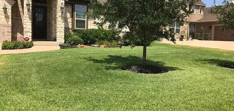 A well-maintained lawn, like this one in Brazos Valley helps to prevent fleas and ticks.