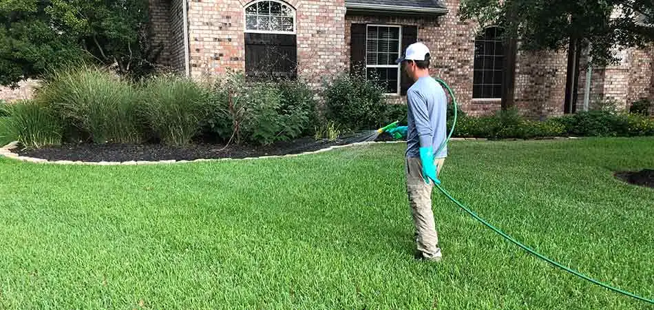 Greener LawnScapes team member spraying for fleas and ticks in College Station
