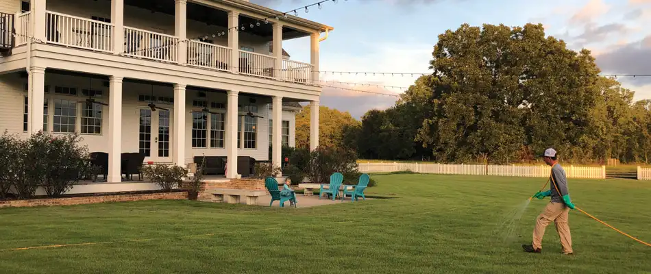 The Differences Between Dormant Grass and Dead Grass.