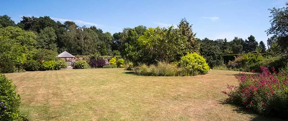 A College Station, TX home yard with lawn disease.