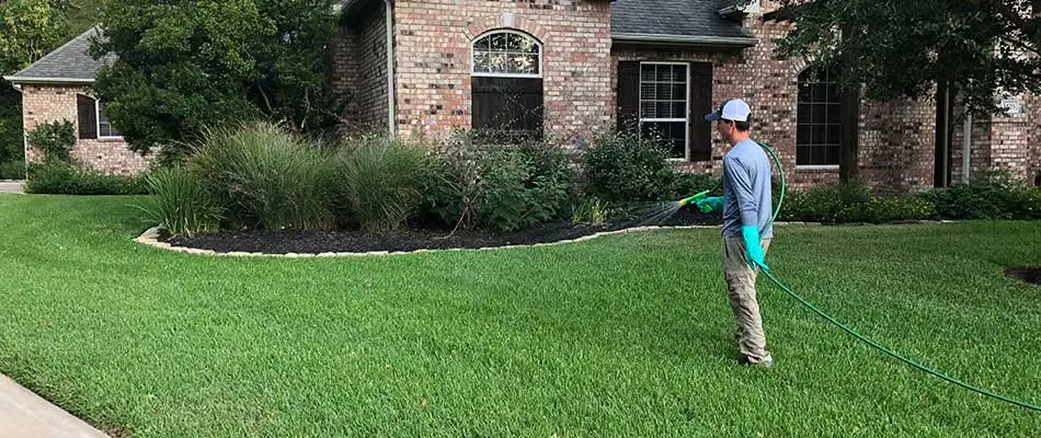 Does Pulling Weeds Work Best in Texas?