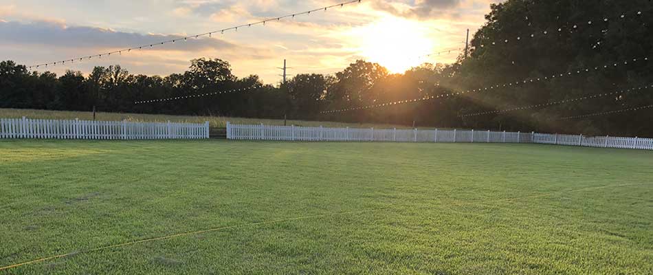 Healthy, Weed-Free Lawn