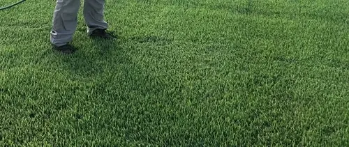 Lawn Fertilization & Weed Control