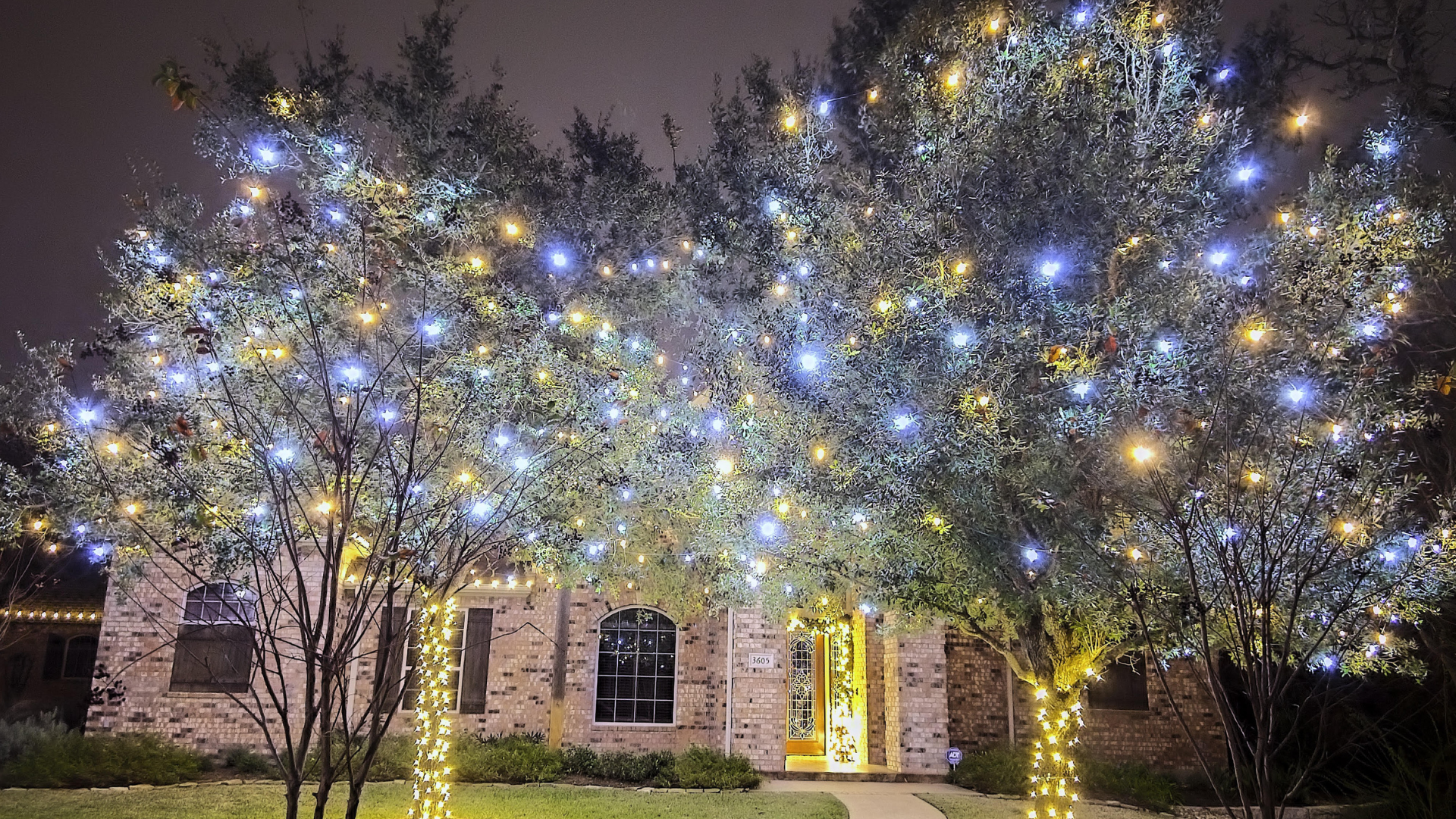 Holiday Lighting Installation | Greener LawnScapes