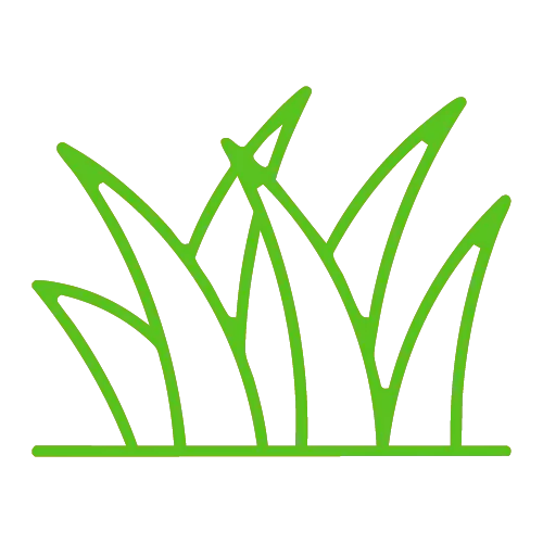 png grass