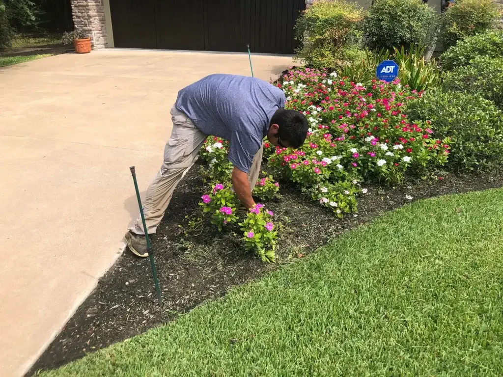 Thriving Brazos Valley landscape in Bryan/College Station featuring native and adapted plants selected by Greener LawnScapes